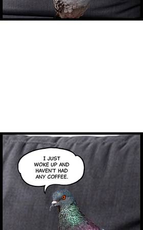 Read O.P Life  1 Page 4 in English