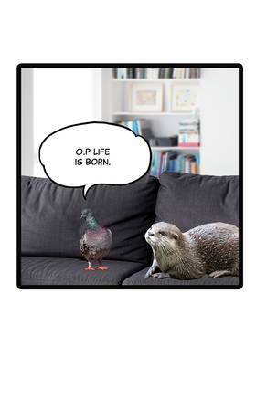 Read O.P Life  2 Page 8 in English