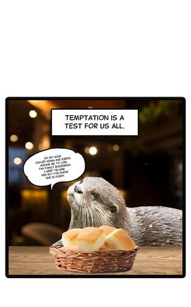 Read O.P Life  3 Page 1 in English