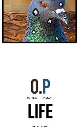 Read O.P Life  3 Page 6 in English