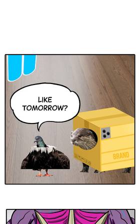 Read O.P Life  13 Page 3 in English