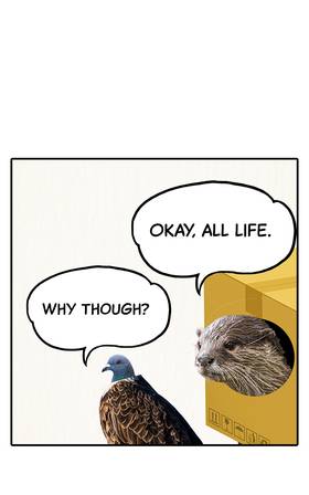 Read O.P Life  13 Page 10 in English