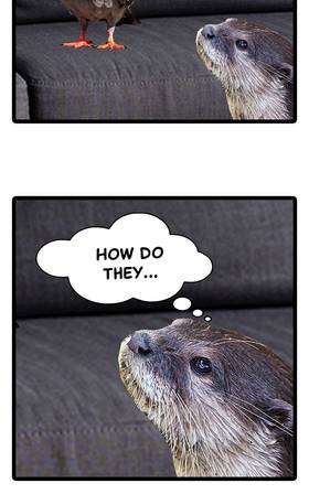 Read O.P Life  15 Page 3 in English