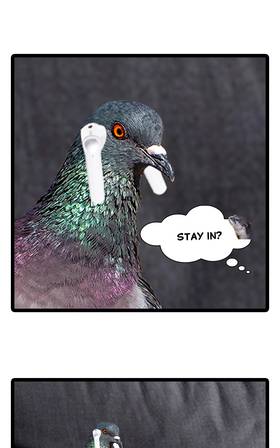 Read O.P Life  15 Page 4 in English