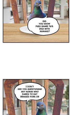 Read O.P Life  16 Page 7 in English