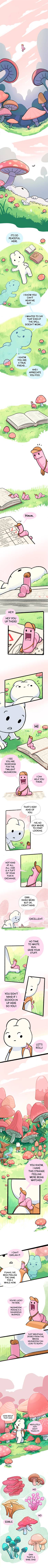 WORM