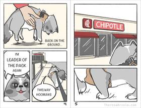 Read Adventures with Titan  1 Page 3 in English