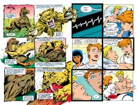 Read Animal Man (1988-)  7 Page 7 in English