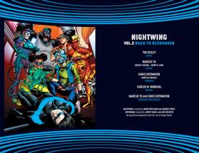 Read Nightwing (2016-)  4 Page 3 in English