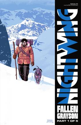 Read Nightwing (2016-)  20 Page 5 in English