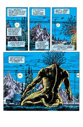 Read Swamp Thing (1982-)  73 Page 2 in English