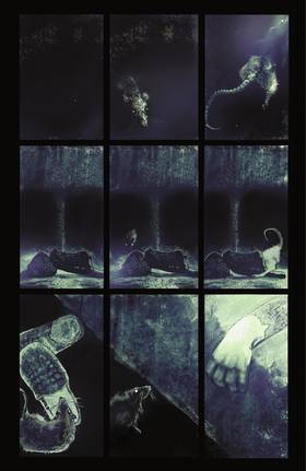Read The Riddler: Year One (2022-)  5 Page 10 in English
