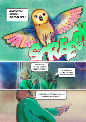 Read WINGS !!  1 Page 3 in English