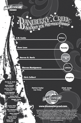 Read Baneberry Creek: Academy for Wayward Fairies  1 Page 2 in English