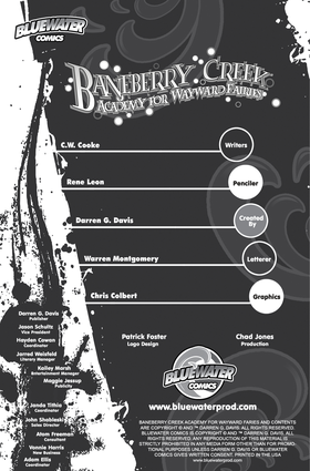 Read Baneberry Creek: Academy for Wayward Fairies  1 Page 2 in English