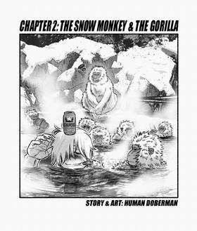 Chapter 2: The Snow Monkey & The Gorilla