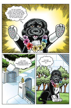 Read Bo Obama  1 Page 3 in English