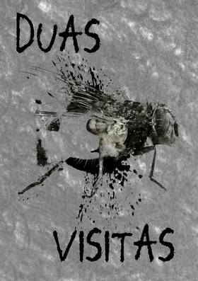 Read Duas Visitas/Two Visits  1 Page 1 in Brazilian Portuguese