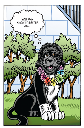 Read Presedential Pets  1 Page 5 in English