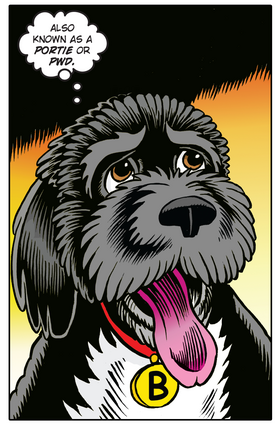 Read Presedential Pets  1 Page 10 in English