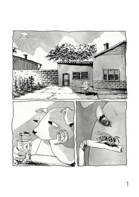 Read STRAVA  53 Page 3 in English
