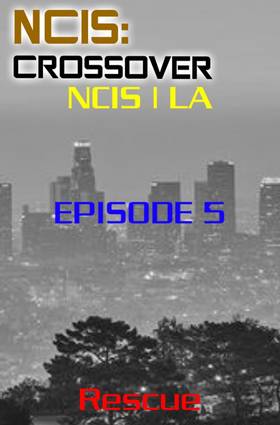 Read NCIS: Crossover  5 Page 3 in English