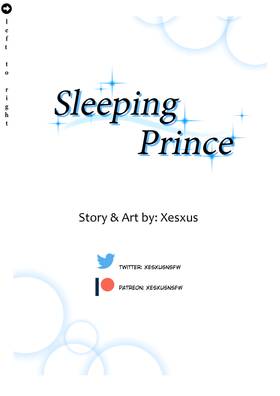 Read Sleeping Prince  2 Page 1 in English