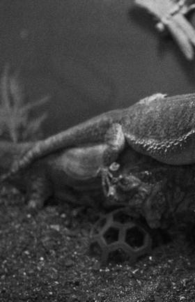 Read ART to the FACE   23 Page 2 in English