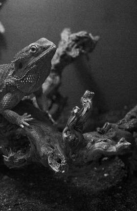 Read ART to the FACE   23 Page 3 in English