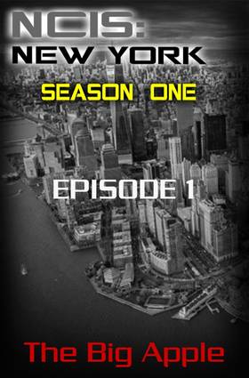 Read NCIS: New York  1 Page 5 in English
