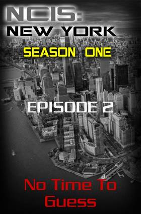 Read NCIS: New York  2 Page 2 in English