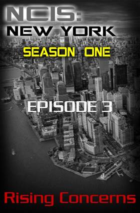 Read NCIS: New York  3 Page 2 in English