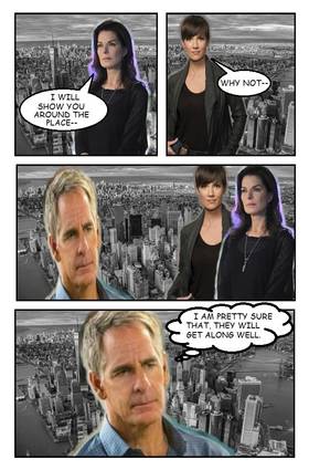 Read NCIS: New York  5 Page 10 in English