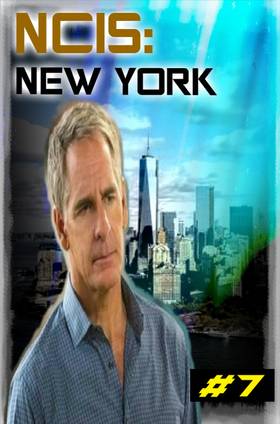 Read NCIS: New York  7 Page 3 in English
