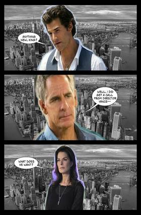 Read NCIS: New York  10 Page 3 in English
