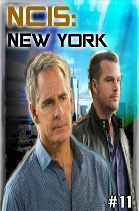 Read NCIS: New York  11 Page 2 in English