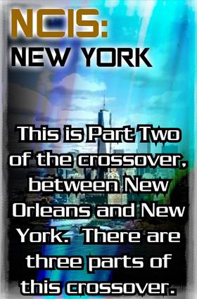 Read NCIS: New York  11 Page 4 in English