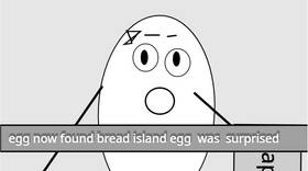 Read food bits   5 Page 4 in English