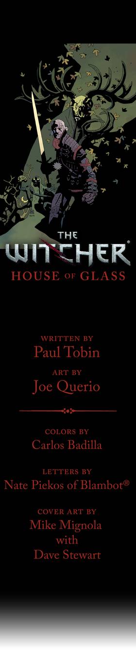 Read The Witcher (Toons)  1 Page 2 in English