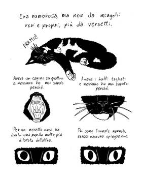 Read Testi  12 Page 3 in Italian