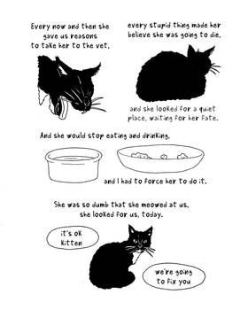 Read Testi  15 Page 5 in English