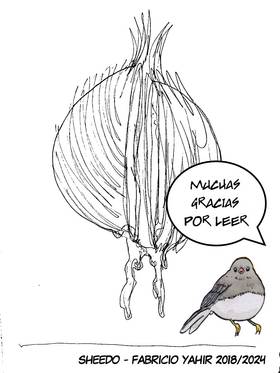 Read Sheedo  1 Page 9 in Spanish