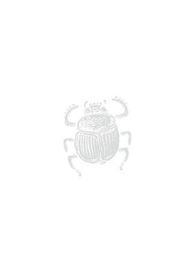 Read La Maledizione dello Scarabeo - Il Ritorno degli Dei  1 Page 4 in Italian