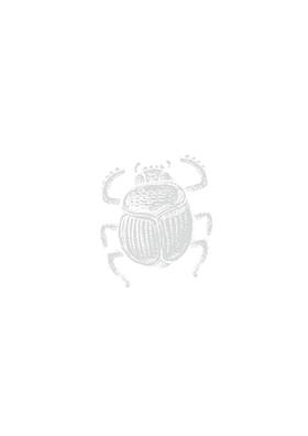 Read La Maledizione dello Scarabeo - Il Ritorno degli Dei  2 Page 2 in Italian