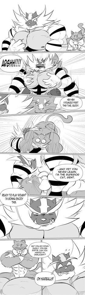 05 Incineroar x GENT