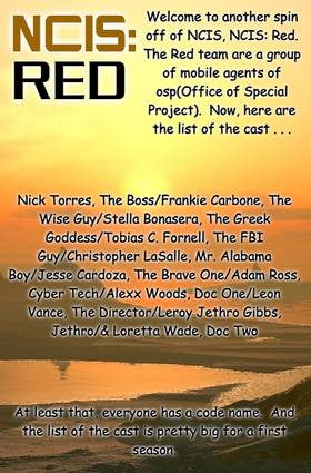 Read NCIS: Red  1 Page 6 in English