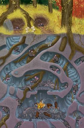 Read Olgan & Pan  1 Page 7 in English