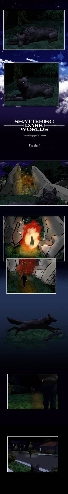 Chapter 1