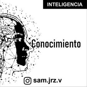 Read Inteligencia  10 Page 1 in Spanish