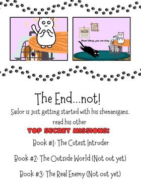 Read Sailor's Top Secret Missions  1 Page 8 in English